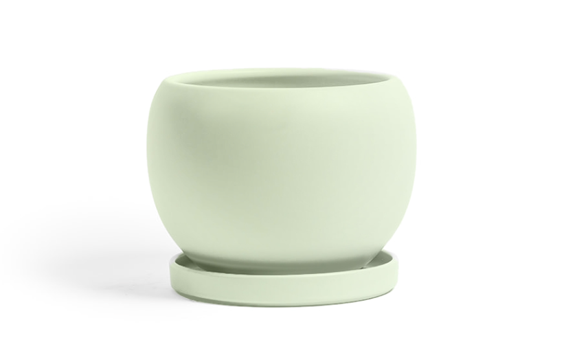 Bolle Pot w/Water Saucer