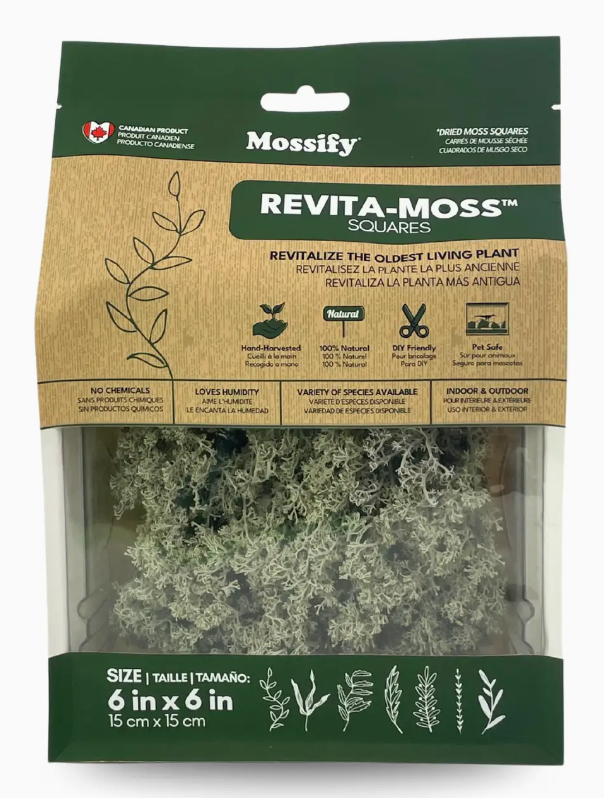 Mossify Revita-Moss Squares