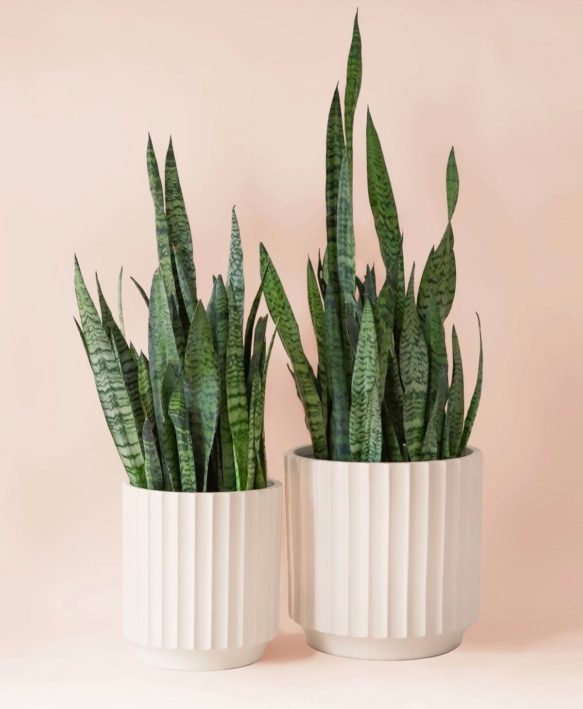 Monroe Planter