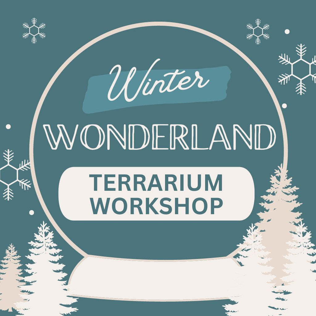 Winter Wonderland Terrarium Workshop - Saturday, December 9