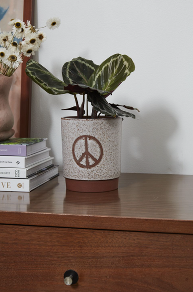 Peace Planter