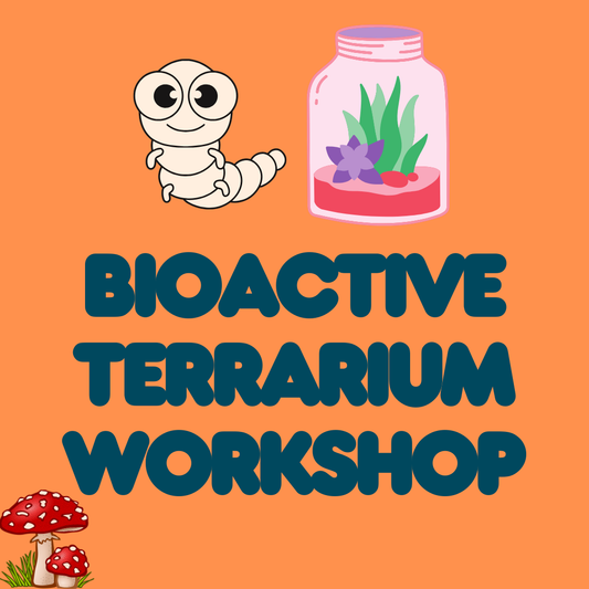 Bioactive Terrarium Workshop - Saturday March 21