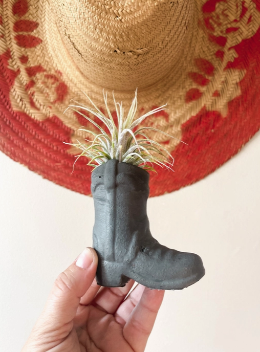 Cement Air Plant Holder