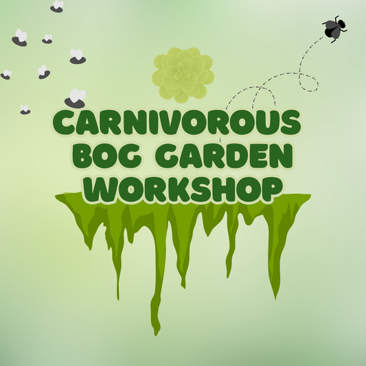 Carnivorous Bog Garden Workshop - Saturday, October 18