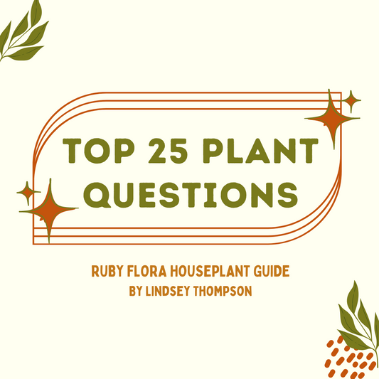 Top 25 Plant Questions and Answers E-Book