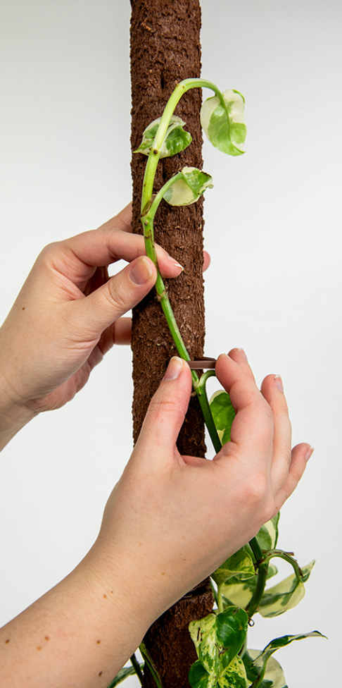 Climb-itt Stackable Eco-Friendly Poles
