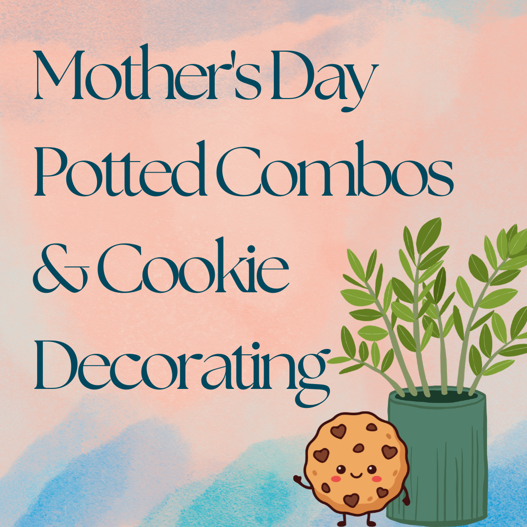 Mother's Day Potted Combos & Cookie Decorating - Sunday, May 10
