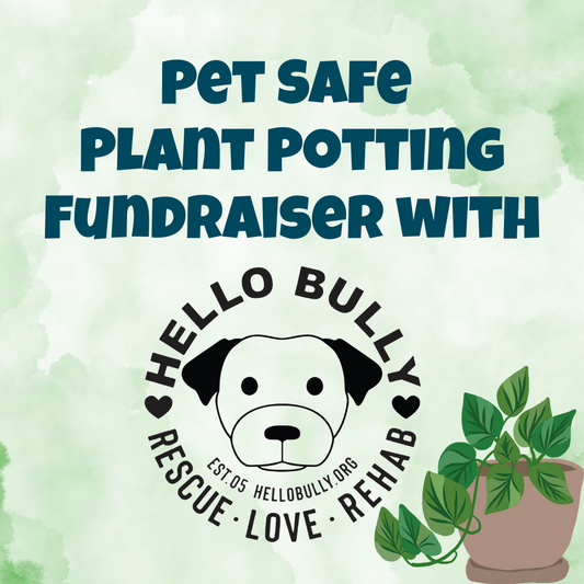 Pet Safe Plant Potting Fundraiser for Hello Bully - Saturday, July 18
