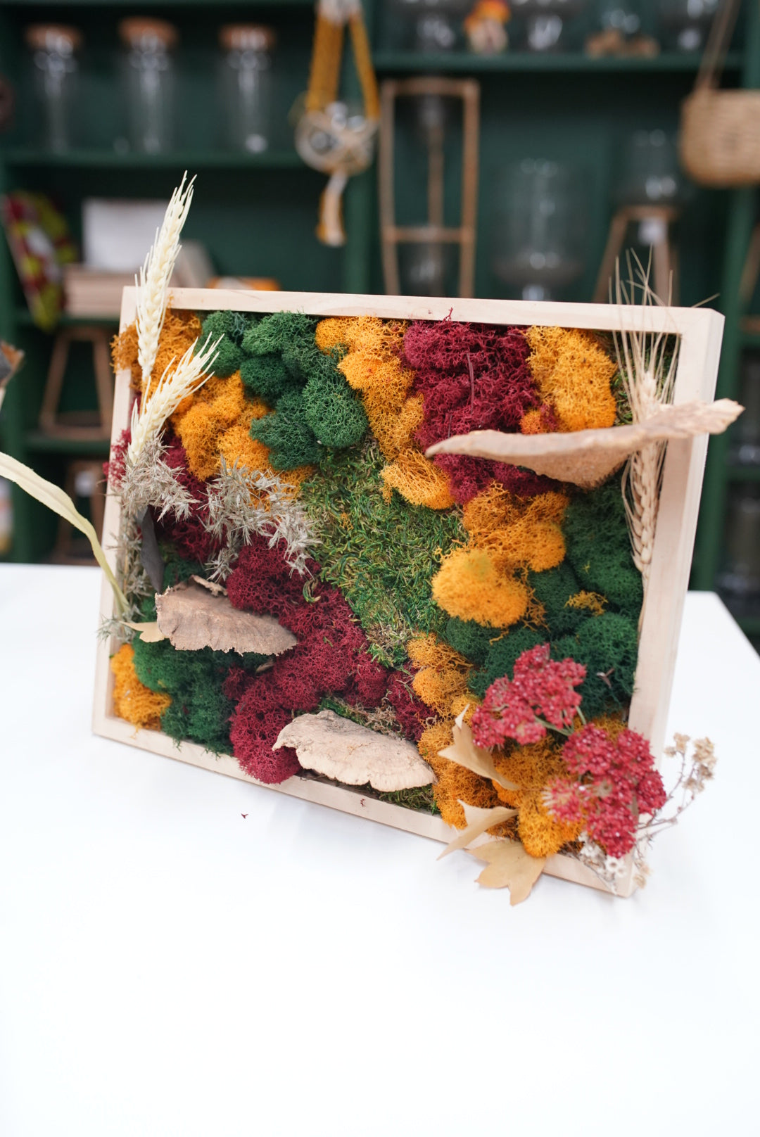 A rectangular wooden shadow box filled with dried botanicals, including orange and burgundy mosses, beige leaves, and wheat stalks, displayed on a white surface with a blurred green shelf background.