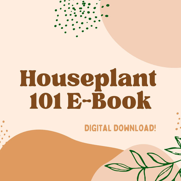 Houseplant 101 E-Book
