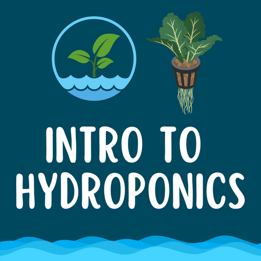 Intro to Hydroponics: Beginners Workshop -Sunday, August 17