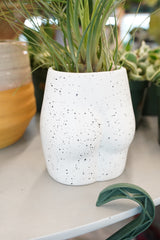 Speckled Booty Planter