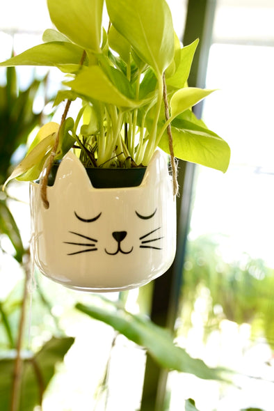 Hanging Cat Planter