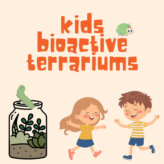 Kids Bioactive Terrarium Creating - Saturday, June 20