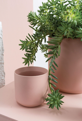 Kendall Pot