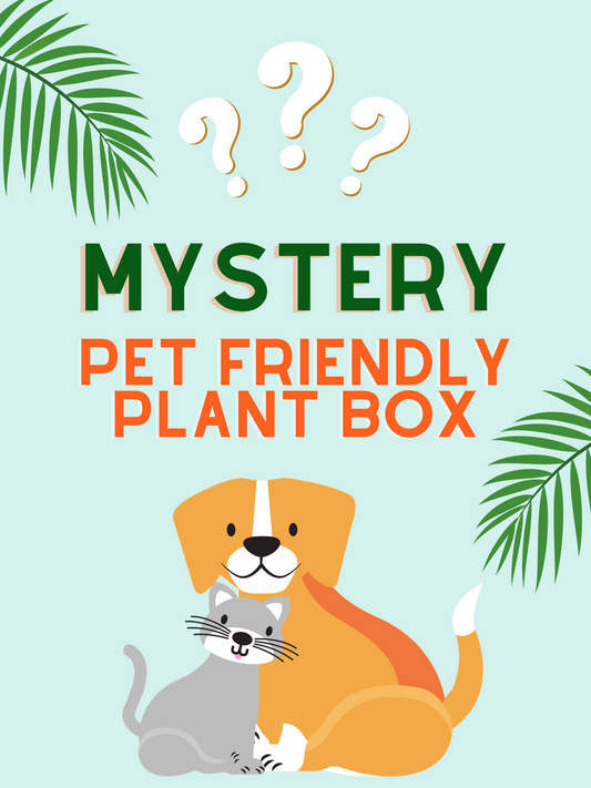 Pet Friendly Mystery Box