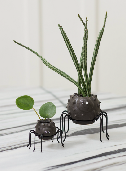 Silly Spider Pot