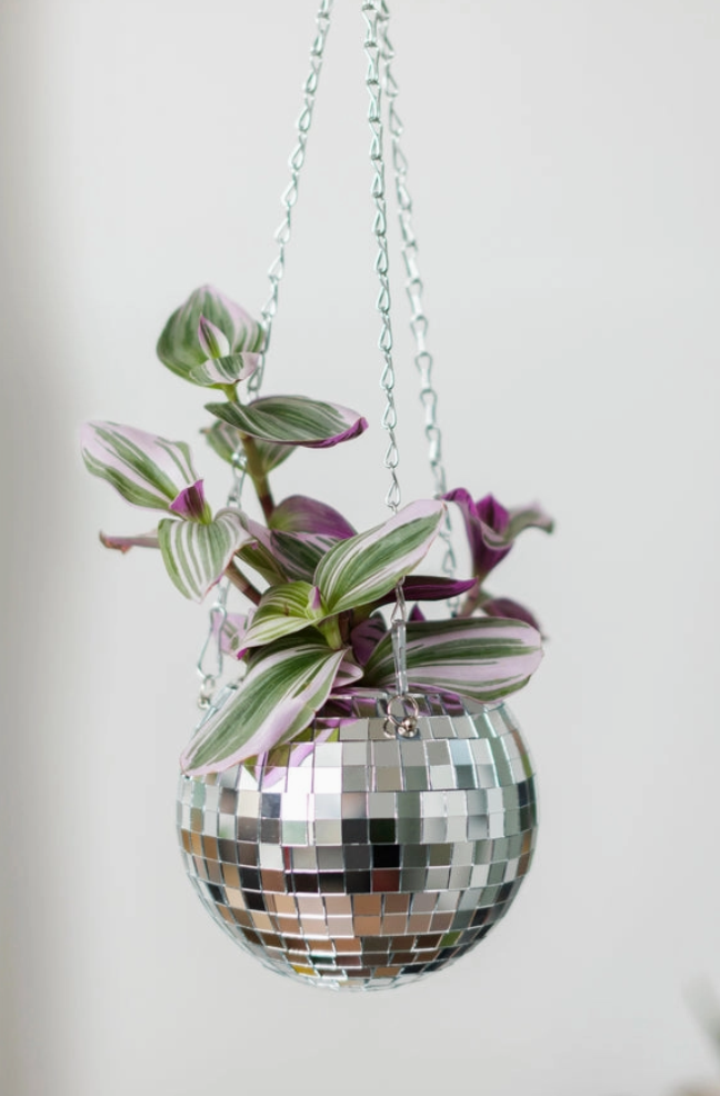 disco ball plant Disco Ball Planters
