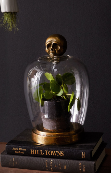 Skull Cloche