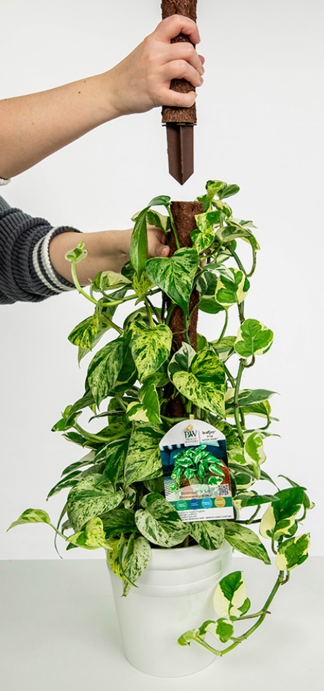 Climb-itt Stackable Eco-Friendly Poles