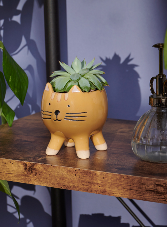 Standing Cat Planter