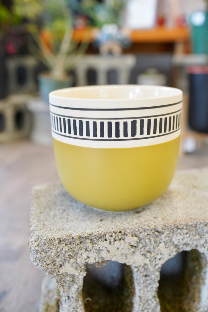 modern yellow ceramic planter