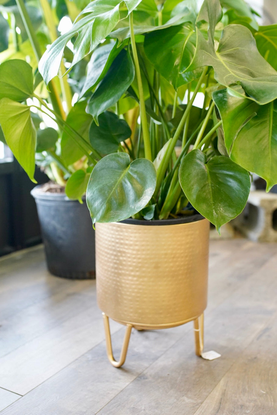 gold hammered planter with feet