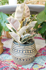 black and tan decorative plant basket