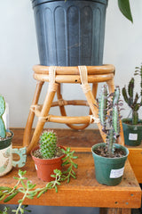 Rattan Plant Stand