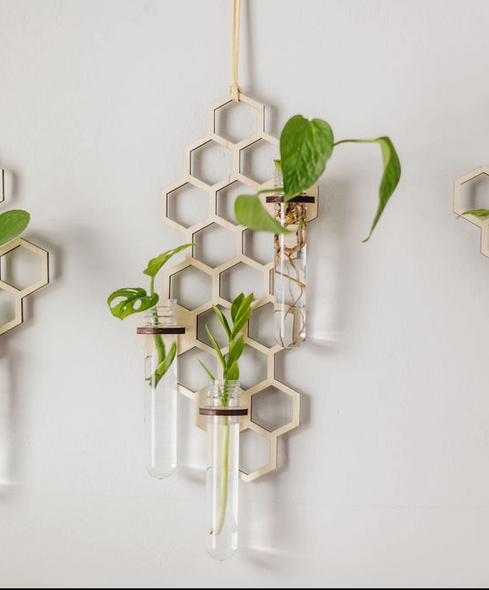 honeycomb propagation station holding plants