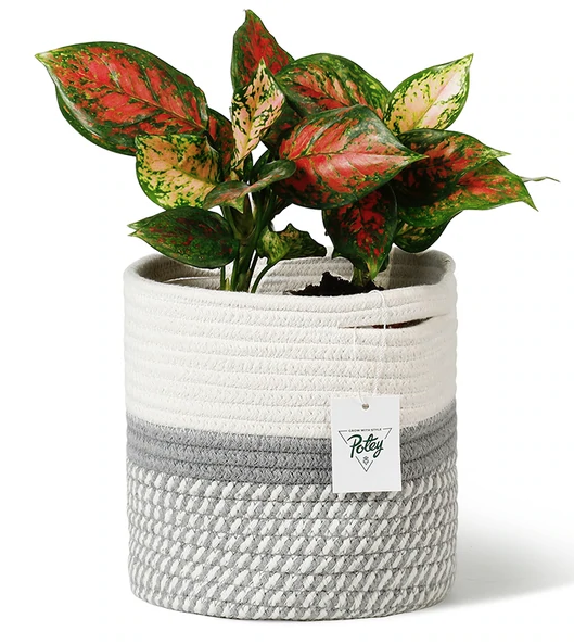 grey and white cotton plant basket