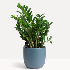 5” Ceramic Egg Planter