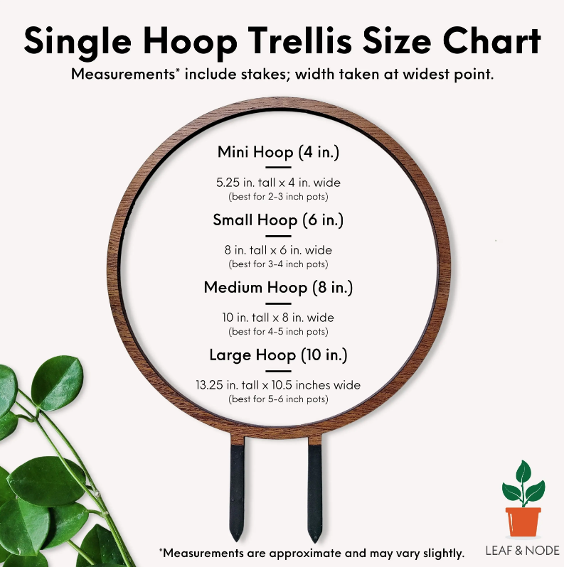 Wooden Hoop Trellis
