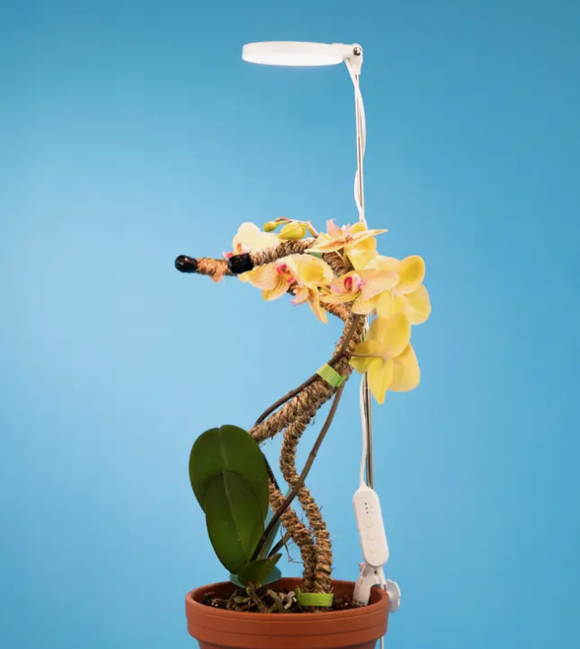 Adjustable LED Plant Light