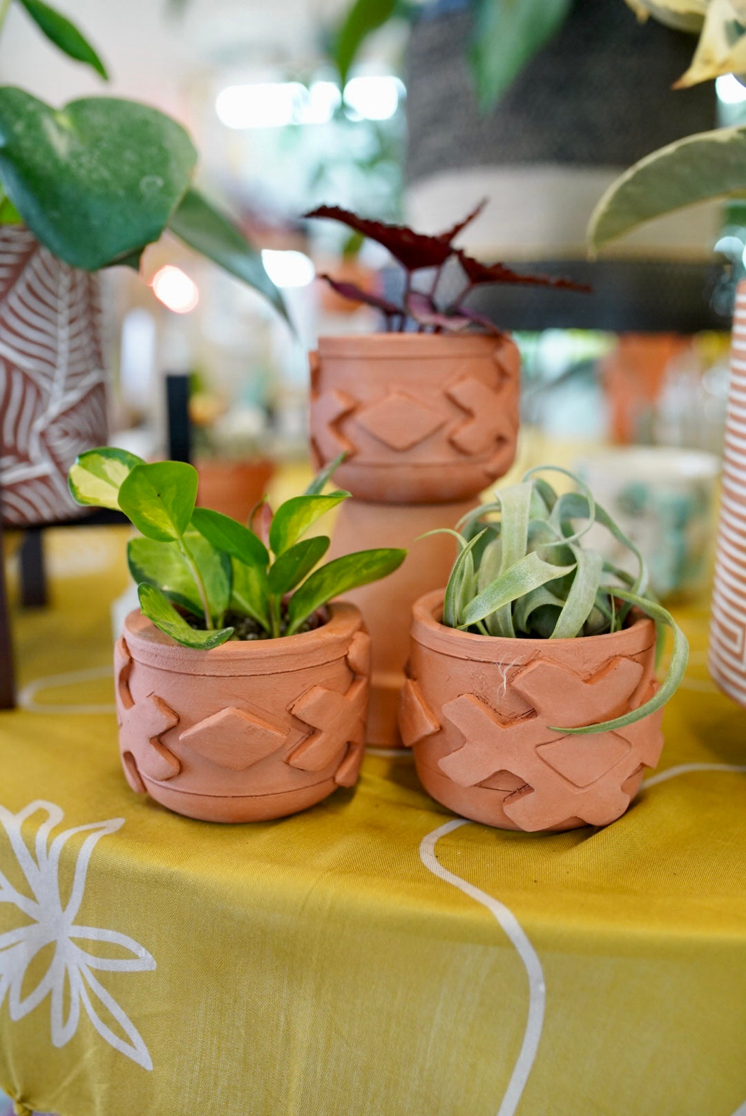 Handmade Terracotta Planters