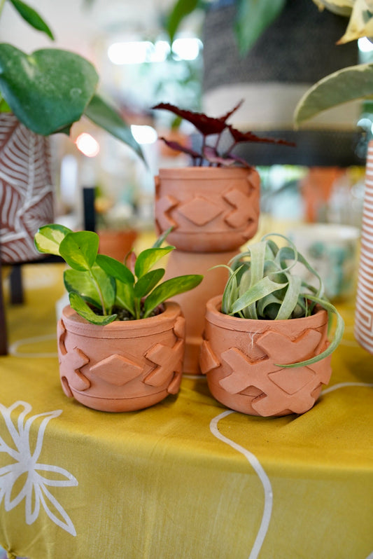 Handmade Terracotta Planters