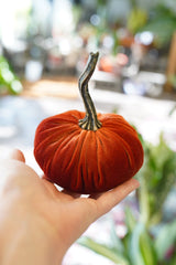 Handmade Velvet Pumpkins