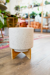 Beige Planter with Wood Stand