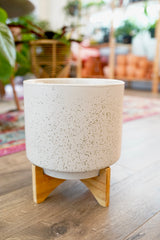 Beige Planter with Wood Stand