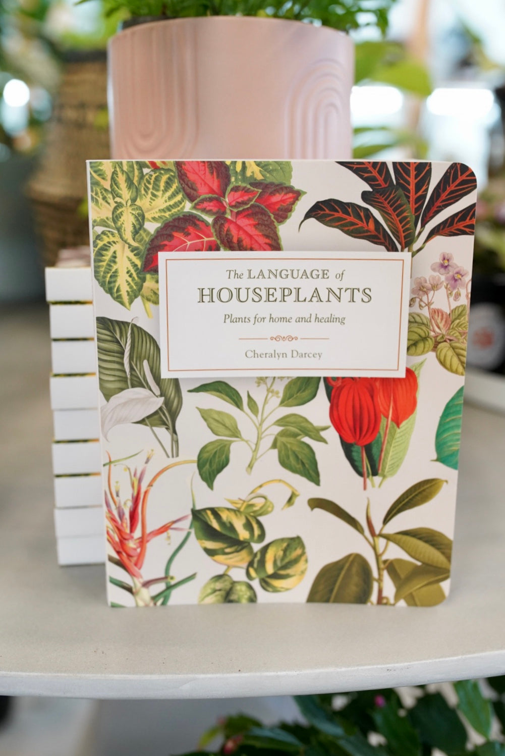 The Language of Houseplants - Paperback Book