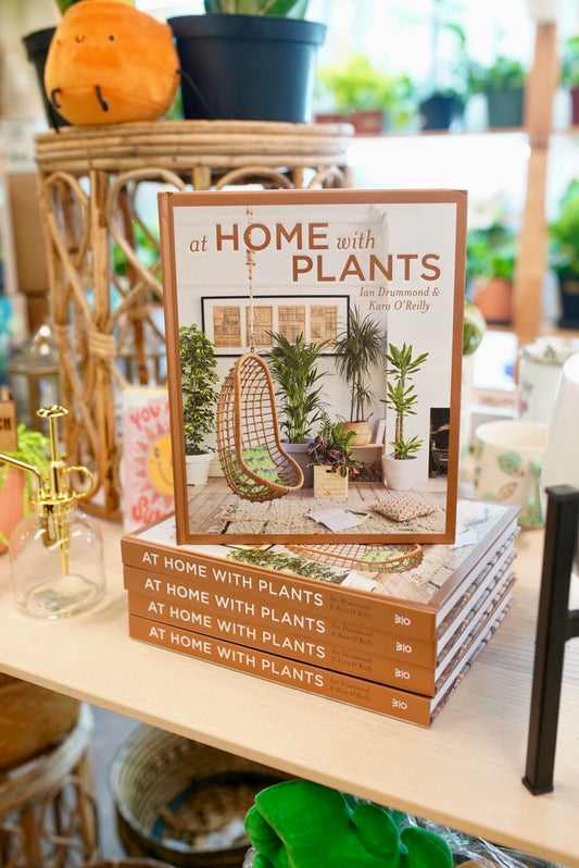 At Home With Plants Hardback Book