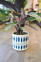 Tico Blue & White Planter