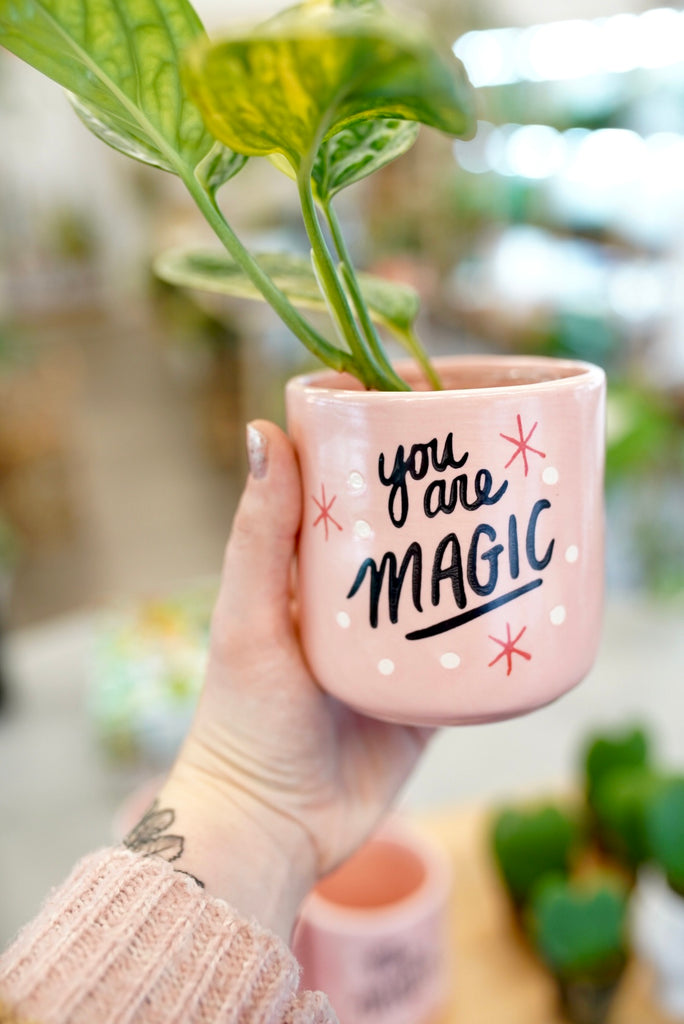 You Are Magic Planter