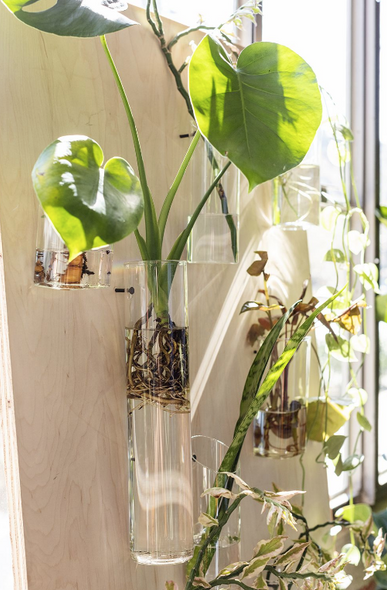 water propagation tubes