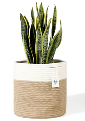 brown and white cotton plant basket